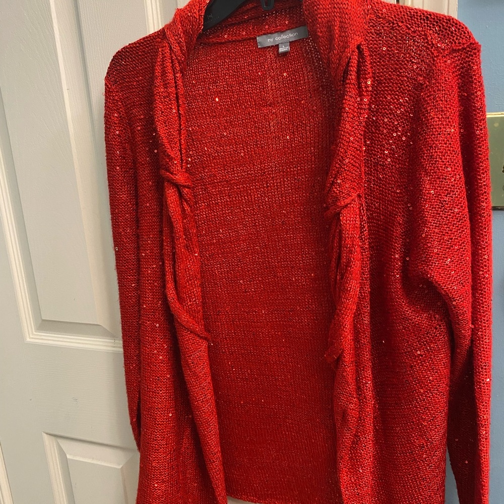 Red sequined shrug. Goes with everything to give a pop of color to outfits.